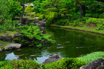 Idyllic landscape of Japanese garden