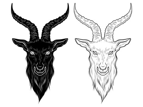 Premium Vector  Goat head skull baphomet illustration