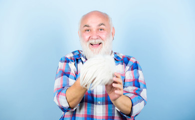 Elderly people. Bearded grandfather grey hair. Hair loss. Man losing hair. Artificial hair. Health...