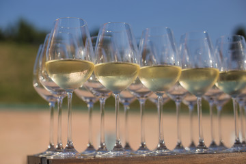 Glasses with white Italian wine close up prepared for a party and tasting in honor of the harvest festival