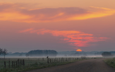 Sonnenaufgang im Teufelsmoor bei Worpswede / Bremen