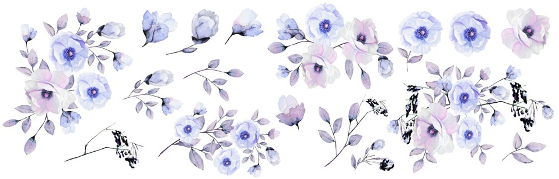 Flower set: blue roses, flowers, twigs,leaves.Vintage watercolors.