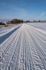 Fototapeta na wymiar White and snowy field in winter.