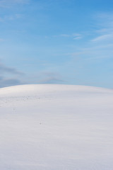 White and snowy field in winter.