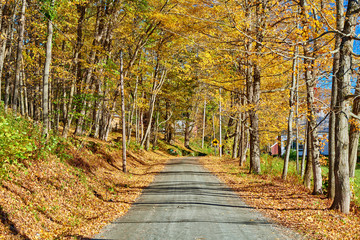 Dirt unpaved gravel road at autumn day in Vermont, USA.