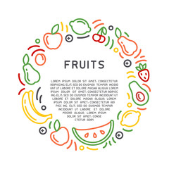 Round form concept with fruits and barries