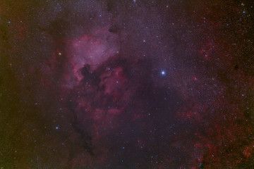 北アメリカ星雲とペリカン星雲とデネブ