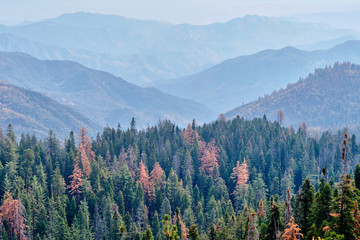 Sequoia National Park mountain scenic landscape at autumn. California, United States.