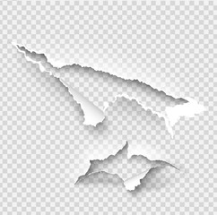 Torn ripped paper vector template, sides with ripped edges on realistic paper background. Ripped side set of banners for web and print and space for text.