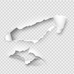 Torn ripped paper vector template, sides with ripped edges on realistic paper background. Ripped side set of banners for web and print and space for text.