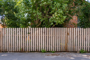New wooden fence of a private house with greenery.