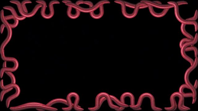 Swarm of red worms crawling around the edge of the screen. Transparent background ProRes 4444 in 4k UHD resolution. Seamless loop 3D animation with alpha channel.