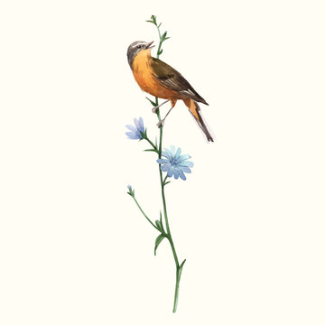 Watercolor vector bird on the flower