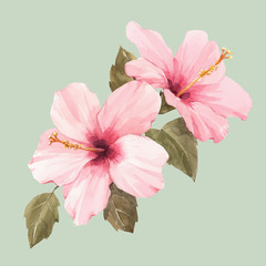 Watercolor hibiscus vector illustration