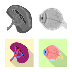 Isolated object of body and human logo. Collection of body and medical vector icon for stock.