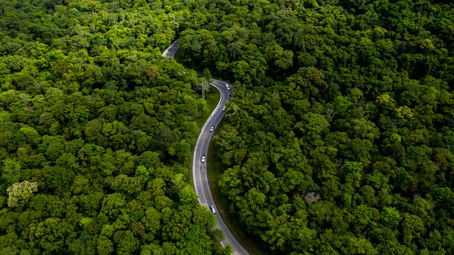 Aerial view over tropical tree forest with a road going through with car, Forest Road.