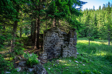 Remains of old destroyed buildings in the forest