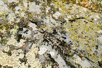 Large natural granite rock surface with moss background and texture.
