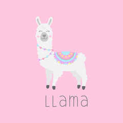 Hand drawn white llama with patterned fringed blanket. Cute furry llama or alpaca animal vector illustration with writing llama. Isolated on pink background.