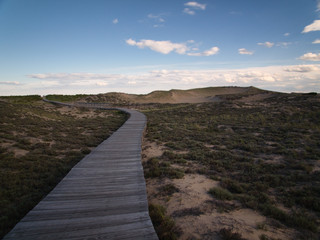 Plum Island Boardwalk