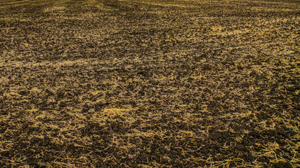 Field with compressed crops, texture. Golden pieces of dry straw on brown fertile soil