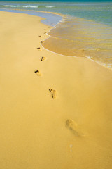 Footprints in the sand on the beach by the sea