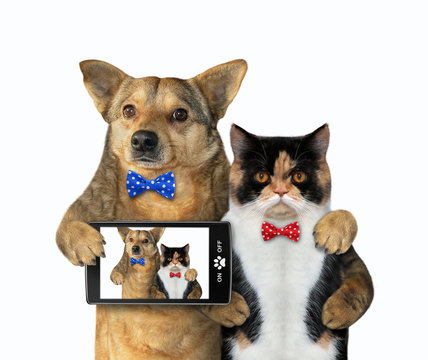The dog with a smartphone and the cat in a red bow tie made selfie together. White background. Isolated.