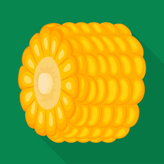 Vector illustration of corn and piece sign. Set of corn and grain stock vector illustration.