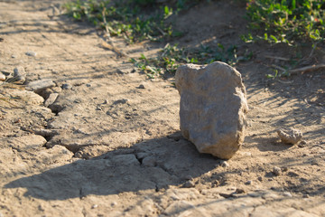 Rock On Dirt Road