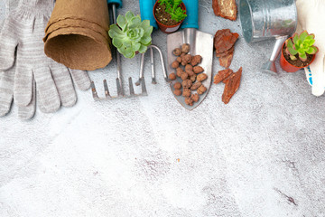 Gardening tools and top view, garden manteinance