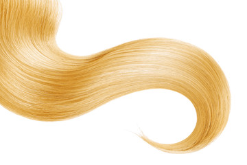 Blond hair isolated on white background. Long ponytail.