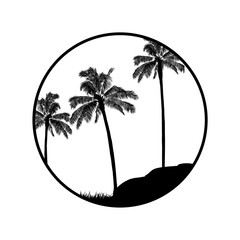 Black and white summer tropical border with palm trees silhouette