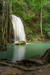 Fototapeta na wymiar Clean green emerald water from the waterfall Surrounded by small trees - large trees, green colour, Erawan waterfall, Kanchanaburi province, Thailand