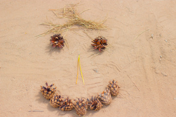 funny face made from forest cones