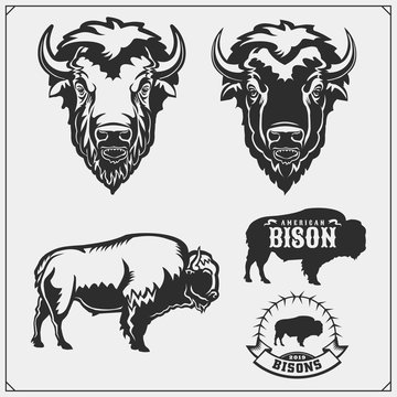 Set of vector Bison silhouettes and illustration. Print design for t-shirt. Emblem design template.