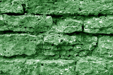 Old grungy brick wall texture in green tone.