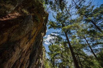 Beautiful landscape mountains sky and tall trees.