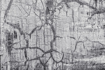 Texture of plaster on the wall. Gray background wall.