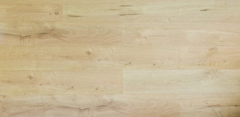 Wood oak tree close up texture background. Wooden floor or table with natural pattern