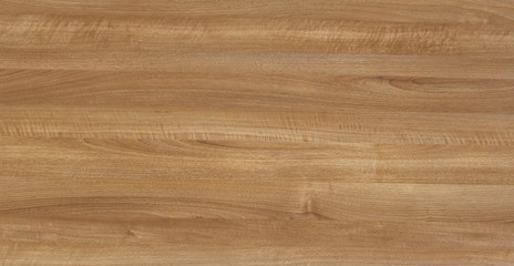 Wood oak tree close up texture background. Wooden floor or table with natural pattern