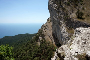 rocks and trees over the sea coast