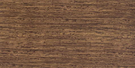 Wood oak tree close up texture background. Wooden floor or table with natural pattern