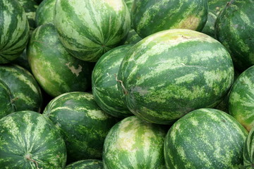 many striped large watermelons for sale