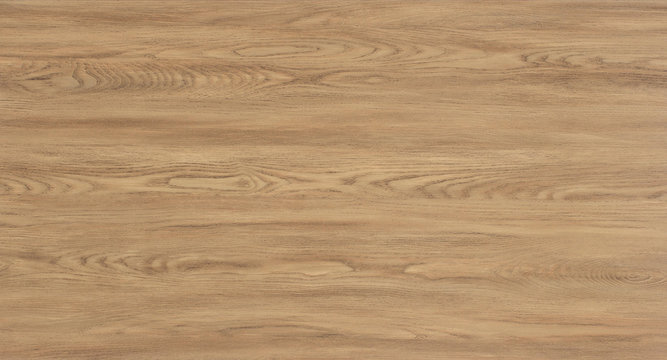 Wood oak tree close up texture background. Wooden floor or table with natural pattern