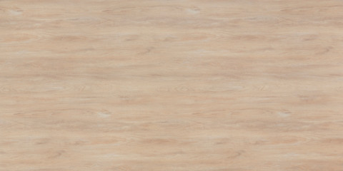 Wood oak tree close up texture background. Wooden floor or table with natural pattern