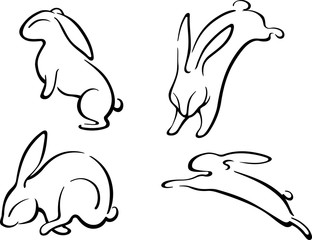 Rabbit Sketch Line Art