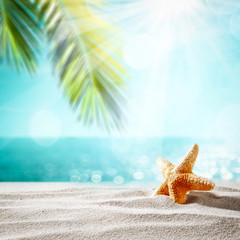 Fototapeta na wymiar Summer shell on beach and sea landscape with palm and sun. 