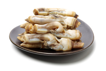 Razor clams isolated on white background.