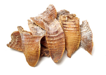 Dry young bamboo shoot on white background