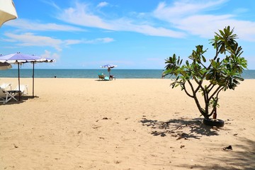 Beautiful tropical sea beach with bed beach and umbrella with trees in the summer morning. Nature and travel concept.